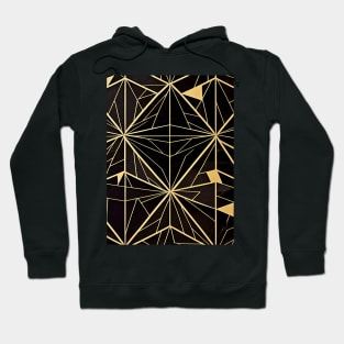 The Archaic Elements. Hoodie